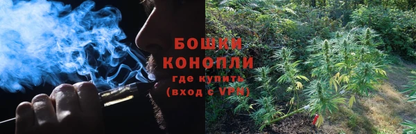 ГАЛЛЮЦИНОГЕННЫЕ ГРИБЫ Армянск