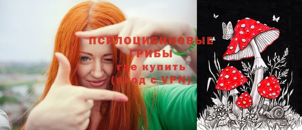 эйфоретик Аркадак