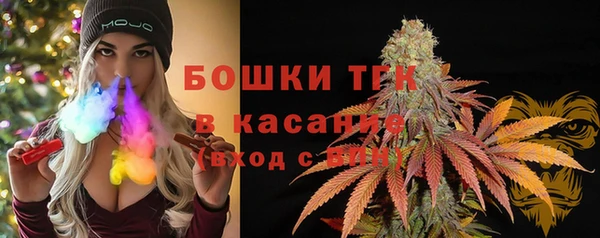эйфоретик Аркадак