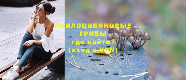 эйфоретик Аркадак