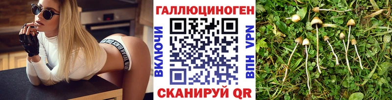 наркота  mega рабочий сайт  Галлюциногенные грибы мицелий  Гагарин 